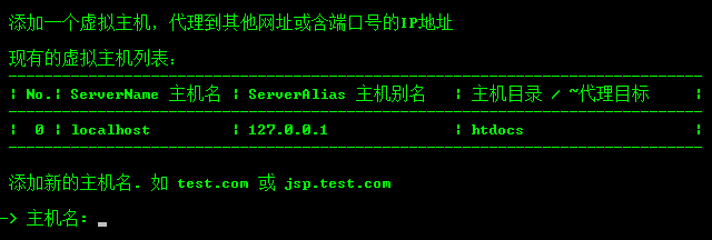 添加代理虚拟主机